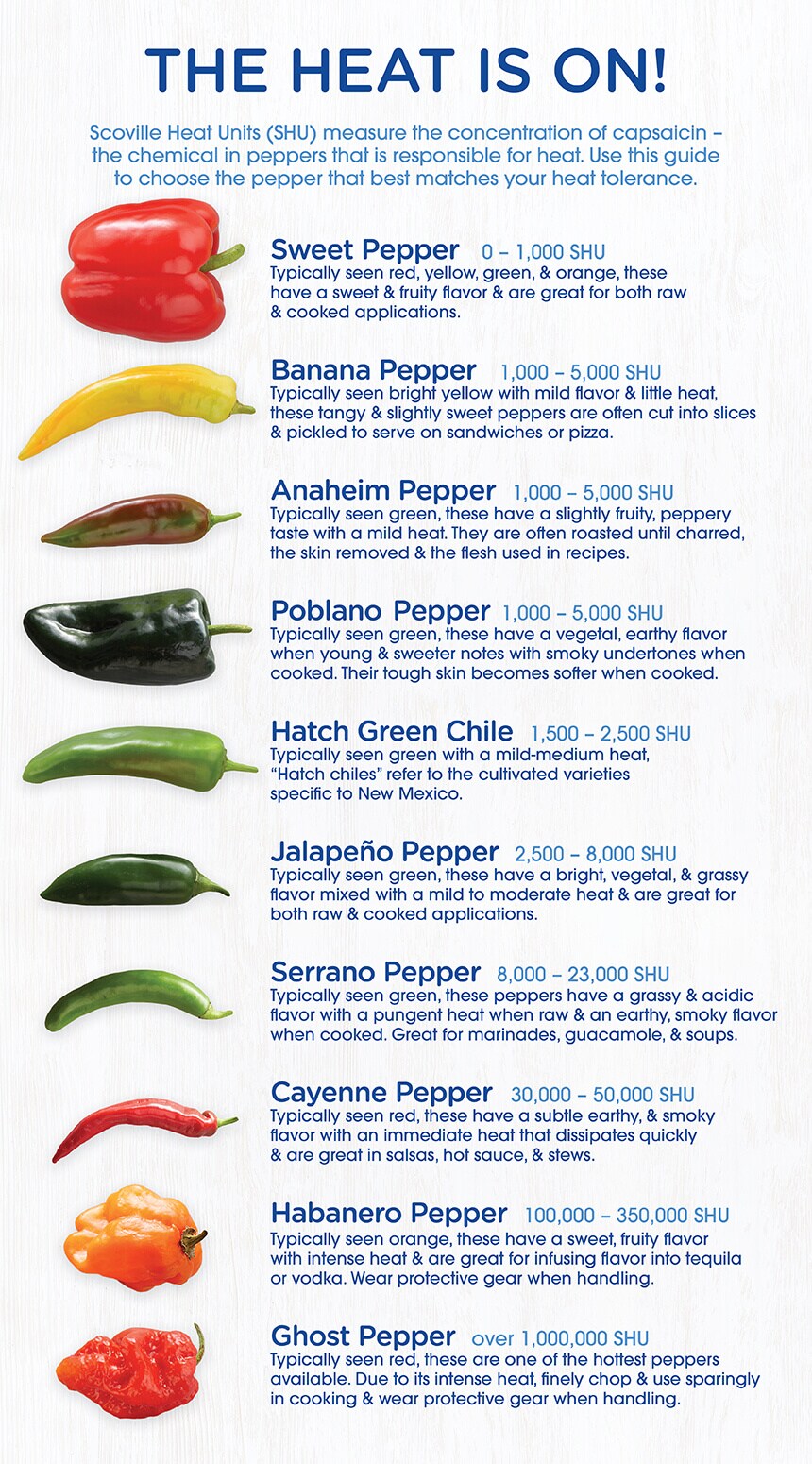 Spicy Pepper Infographic