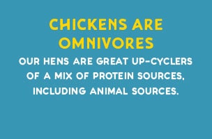 Cage Free Cage Free