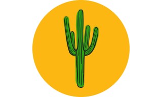 Cereus: Saguaro Cereus: Saguaro