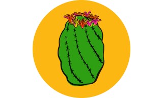 Ferocactus: Arizona Barrel Cactus Ferocactus: Arizona Barrel Cactus