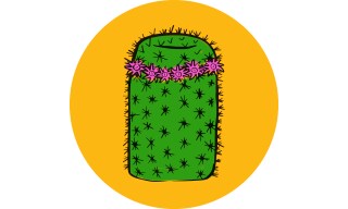 Mammillaria: Pincushion Mammillaria: Pincushion