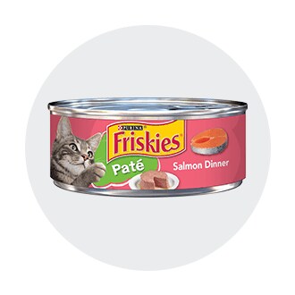 King Soopers Pet Food Toys Supplies