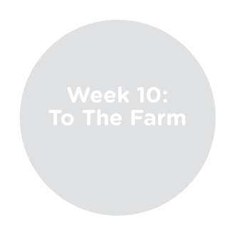 Week 10