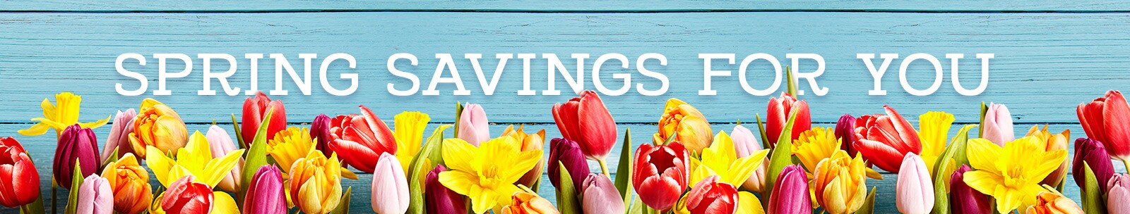 Spring – Savings & Deals