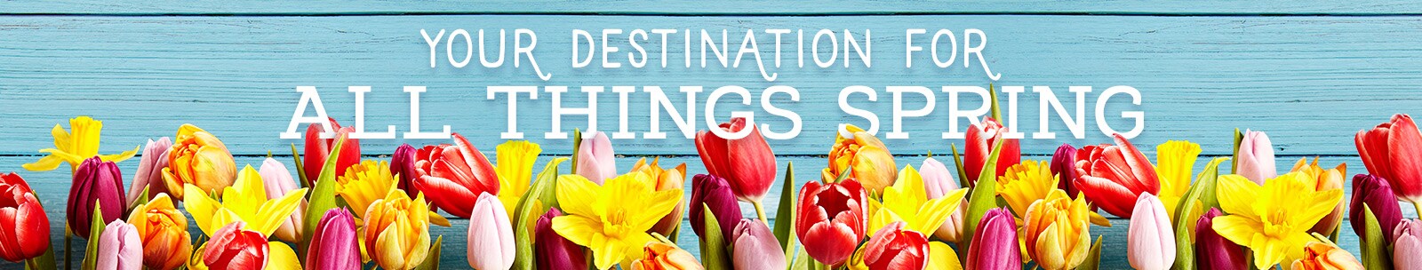 Your Destination for All Things Spring Your Destination for All Things Spring