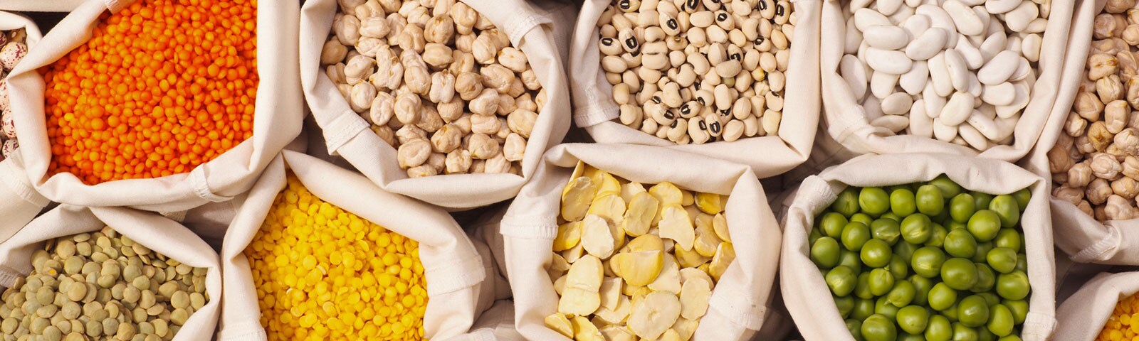 big bags of beans big bags of beans