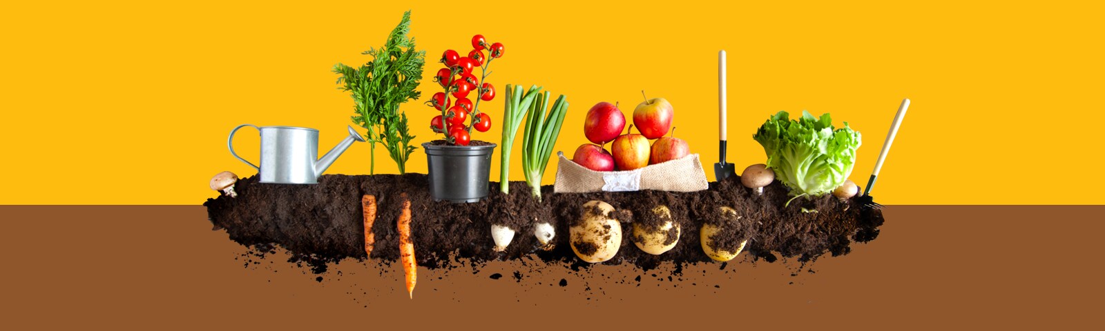 Compost garden with vegetables and dirt on a yellow background Compost garden with vegetables and dirt on a yellow background
