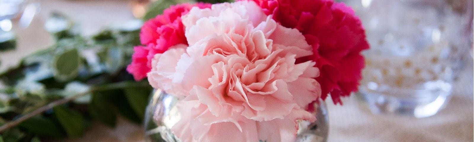 Pink and red carnations sitting in a large bulbous vase atop a table Pink and red carnations sitting in a large bulbous vase atop a table