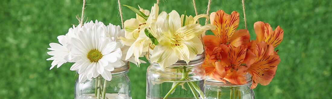 Three mason jars filled with water hang from rope, inside each one is a different colored flower Three mason jars filled with water hang from rope, inside each one is a different colored flower