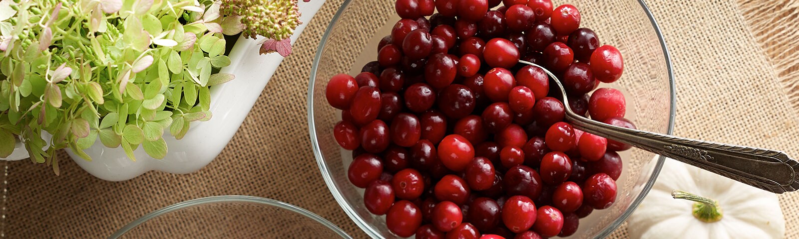 Fresh cranberries in a glass bowl on a brown tablecloth Fresh cranberries in a glass bowl on a brown tablecloth