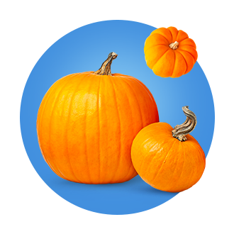 Save on pumpkins