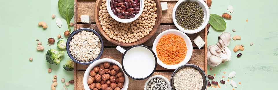 The Power of Protein