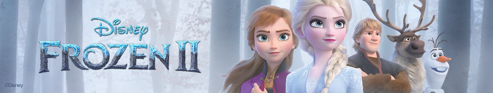 Frozen Premier Experience