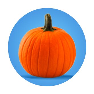 Cozy Up to Pumpkin Deals